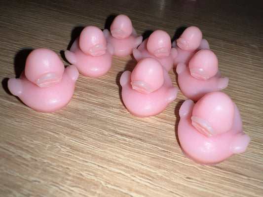 Fondants Parfumés : Fraise des Bois 🍓