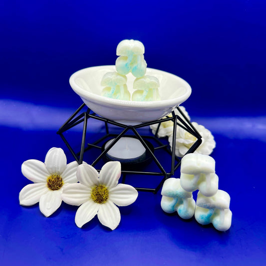 Fondants Parfumés Fleur de Coton