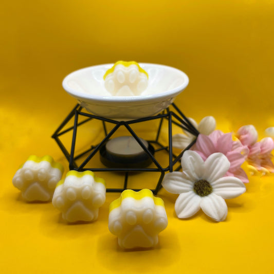 Fondants Parfumés Citron Meringué 🍋