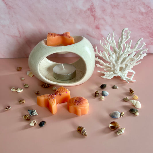 Fondants Parfumés : Pastèque Melon 🍉